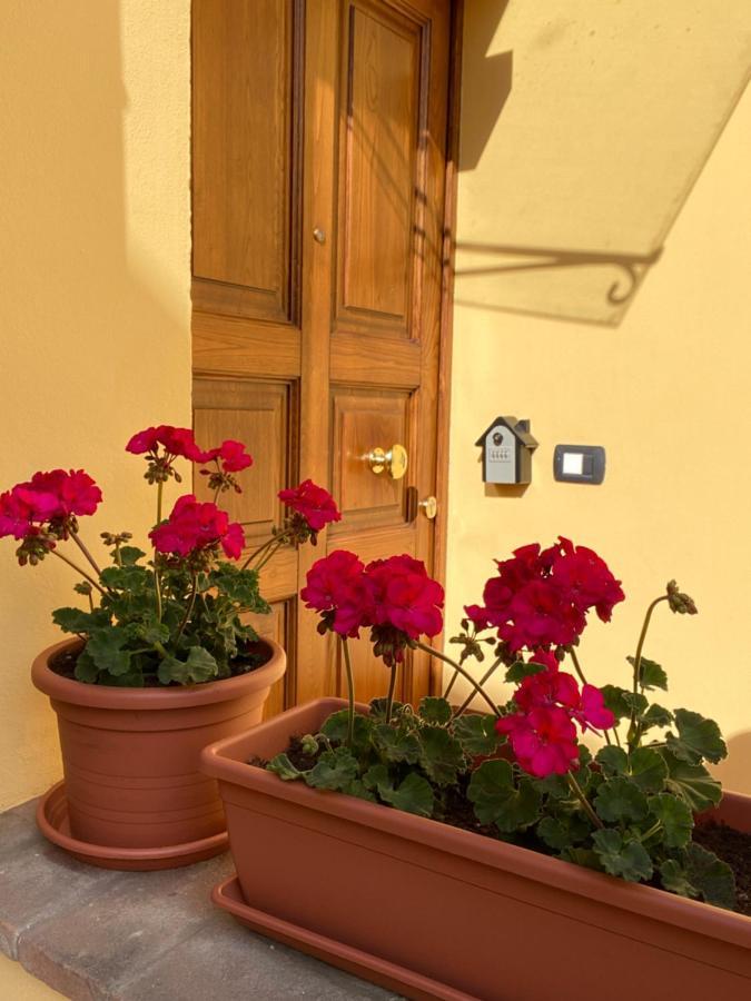 Le Casette Di Viola Arezzo Zewnętrze zdjęcie